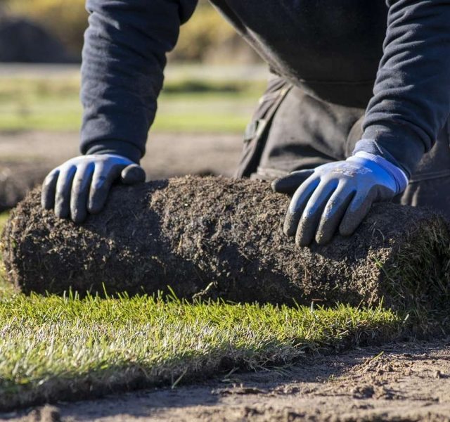 Instalador césped en Estepona