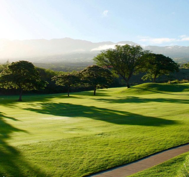 Instalador césped en Estepona