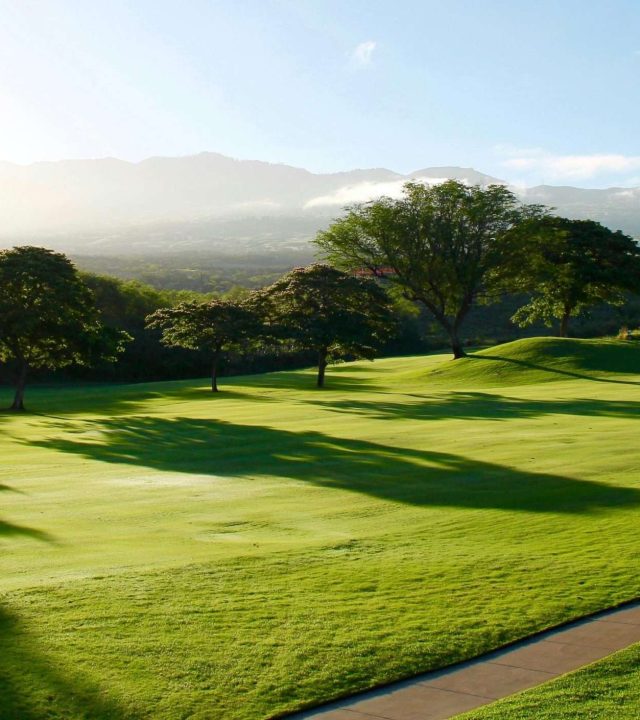 Instalador césped en Estepona